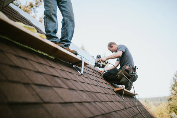 Roof Gutter Cleaning